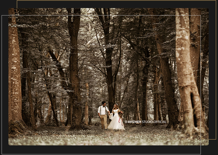 عکس عروس در جنگل